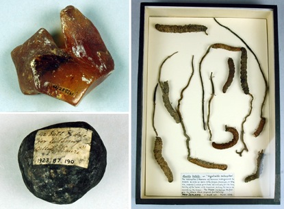 Collected by Charles Smith 1860–1908 and purchased from the executors of the Charles Smith Estate via Alfred T. Collier in 1923; 1923.87.190, .198 and .208–.217