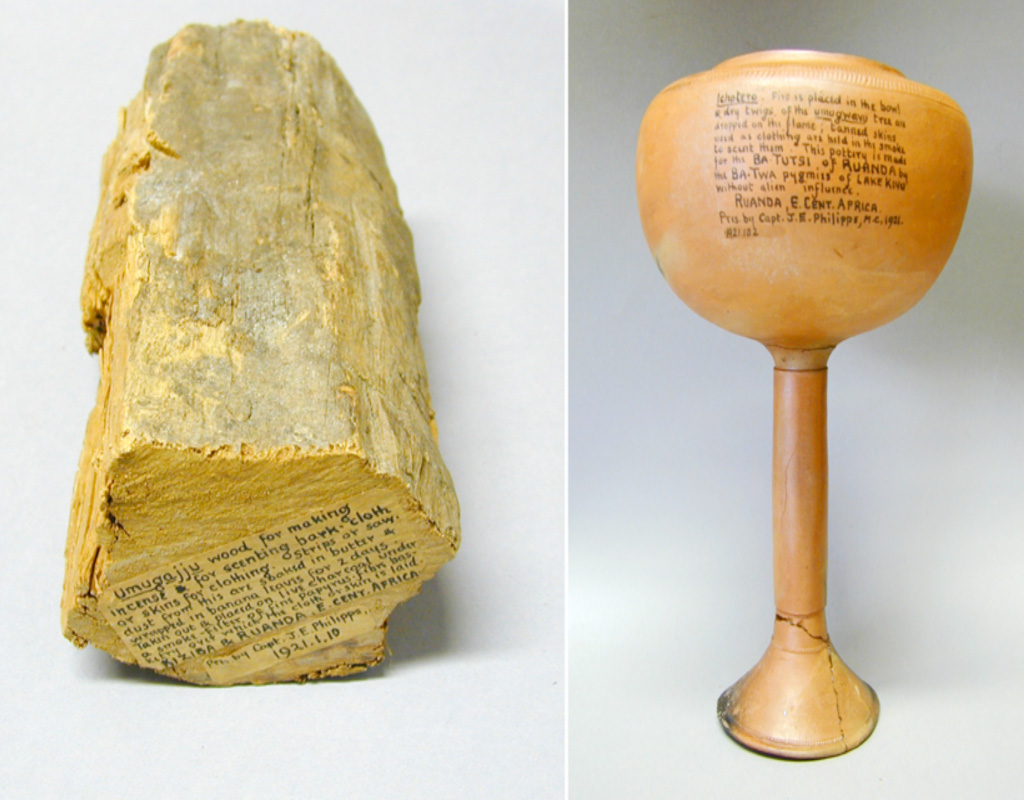 Collected and donated by J. E. T. Philipps in 1921; 1921.1.10 and 1921.10.2