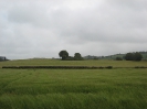 Kilcrea Ring fort http://www.flickr.com/photos/itallian_chauffeur/6271480422/