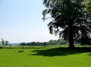 View of Larmer Gardens, May 2012 [Photo by H. Davison]