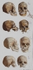 Add.9455vol8_p2205