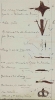 Add.9455vol1_p199