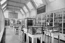Pottery Room, Farnham Museum (Plate VIII, 'The Pitt-Rivers Museum, Farnham')