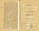 Plate 10 1877 catalogue