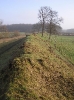 The Danevirke earthwork in southern Schleswig. Photograph by Joachim Müllerchen, 2007